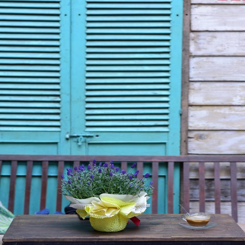 What Are the Best Accordion Shutters for Hurricanes?