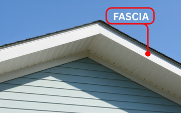 Fascia