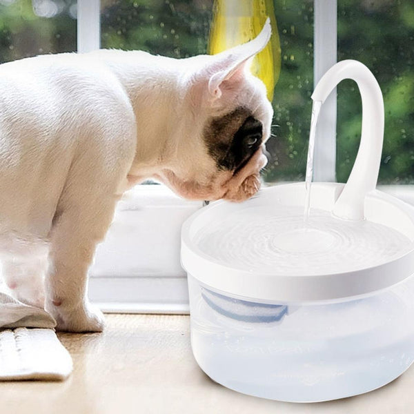 Pet Fountain, 2L LED Automatic Water Fountain, Power-off Protection Function