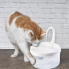 Pet Fountain, 2L LED Automatic Water Fountain, Power-off Protection Function